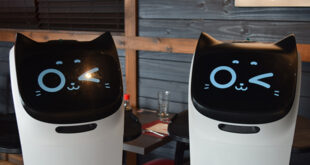 deux robots serveurs