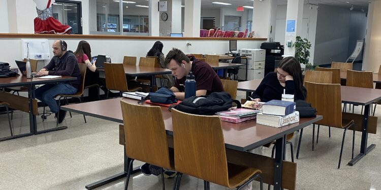 Des élèves étudient à la bibliothèque du Cégep de Jonquière.