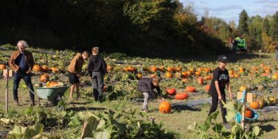 Les visiteurs profitent d'une fin de semaine ensoleillée sur les terres agricoles de la plateforme Solidar à Chicoutimi.